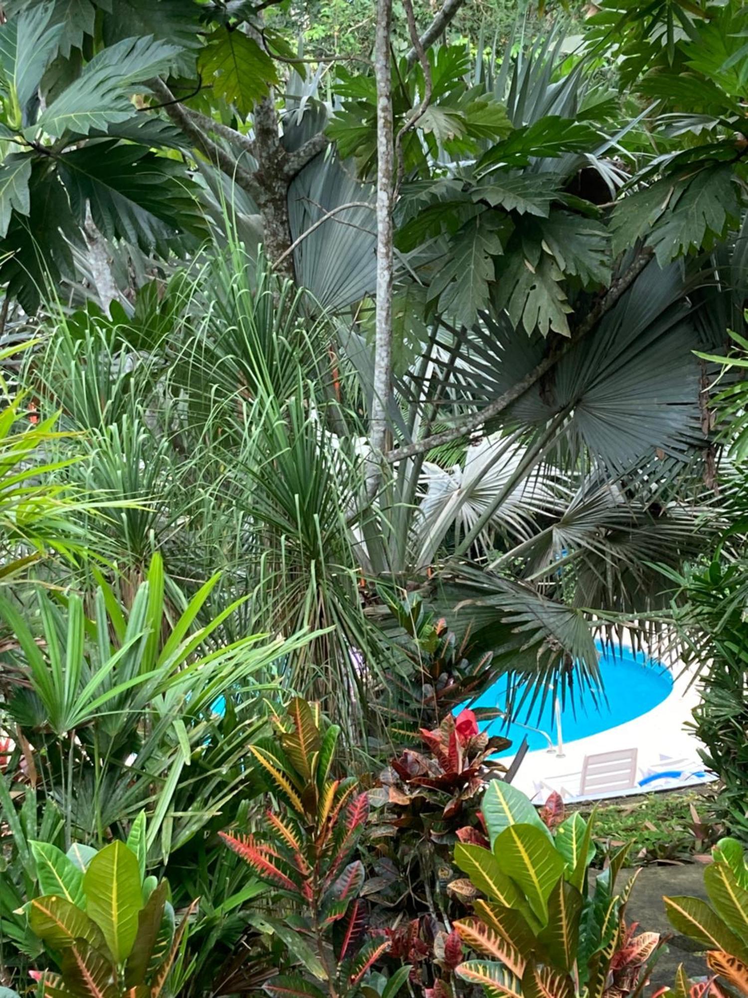 Las Palomas Villas 코클레스 외부 사진