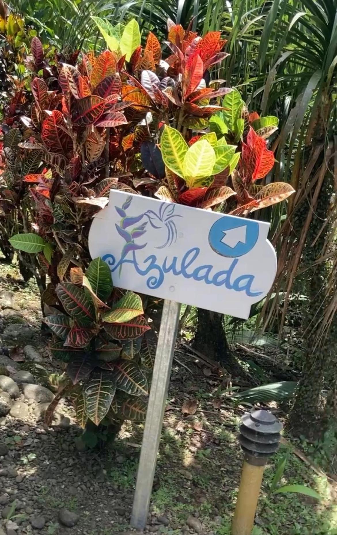 Las Palomas Villas 코클레스 외부 사진